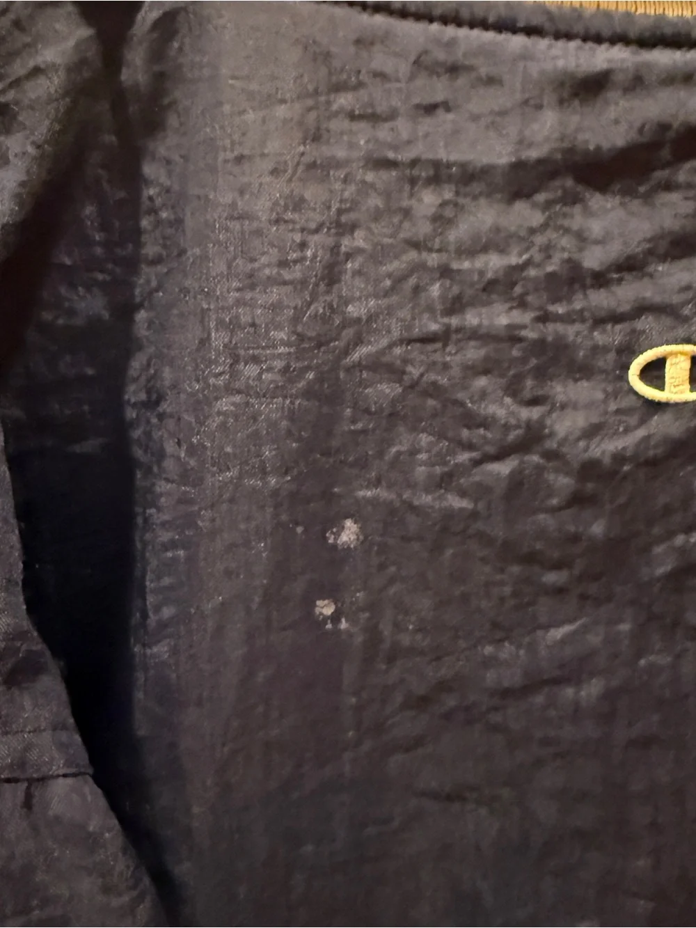 Champion pullover bold